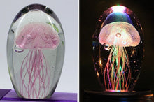 Load image into Gallery viewer, Jellyfish Lamp