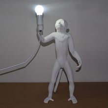 Load image into Gallery viewer, Animal Monkey Hang lamp
