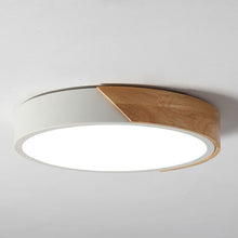 Load image into Gallery viewer, Modern LED Ceiling Light Lamp