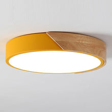 Load image into Gallery viewer, Modern LED Ceiling Light Lamp