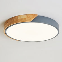 Load image into Gallery viewer, Modern LED Ceiling Light Lamp